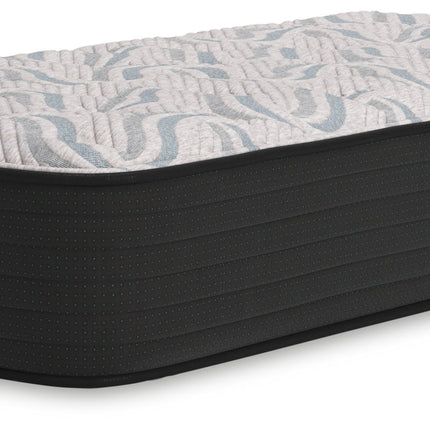 Elite Springs Firm - Mattress