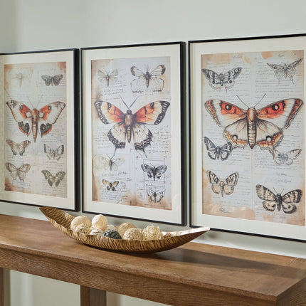 Jossletts - Wall Art Set (Set of 3) - Orange / Black / Ivory