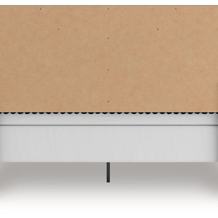 Zuraleus - Upholstered Panel Bed