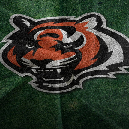 Cincinnati Bengals Bedding Set Duvet Cover Without Filler