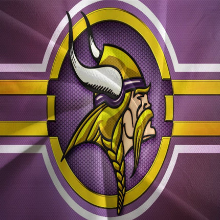 Minnesota Vikings Bedding Set Duvet Cover Without Filler