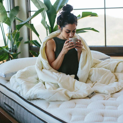 Nest Bedding Washable Wool Comforter Nest Bedding® 