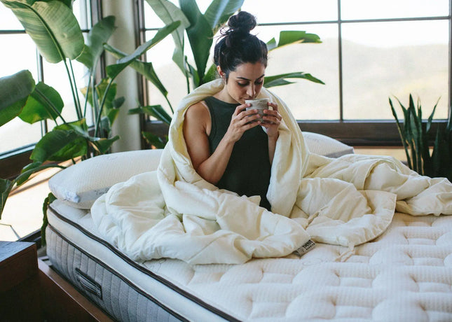 Nest Bedding Washable Wool Comforter Nest Bedding® 