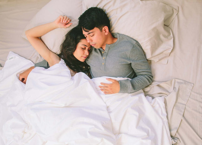 Silk Cloud Comforter Nest Bedding® 