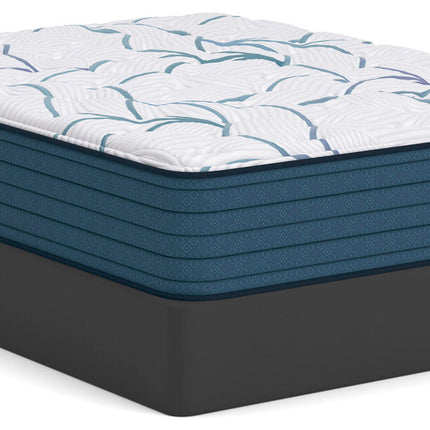 Limited Edition Plush 3.0 - Mattress
